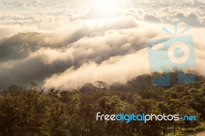 Early Morning Foggy  Sunrise On  Top Of Mountain Soft Focus Grai… Stock Photo