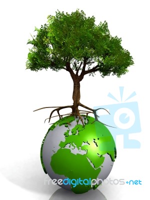 Earth And Tree Stock Image