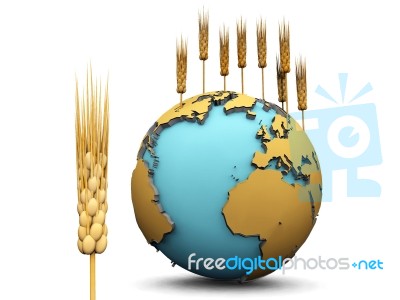 Earth And Wheat Stock Image