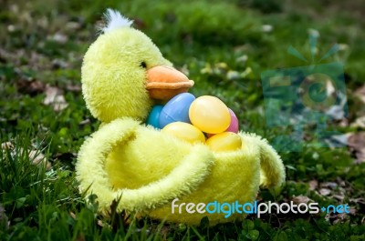 Easter Duck Basket Stock Photo
