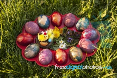 Easter Nest With Colored  Eggs Stock Photo
