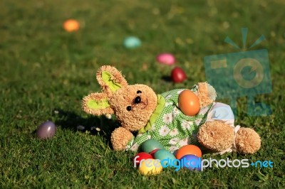 Easter Rabbit In Grass Stock Photo