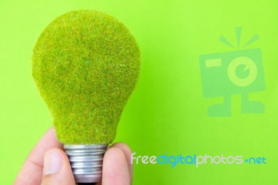 Eco Light Blub In Hand  Stock Photo