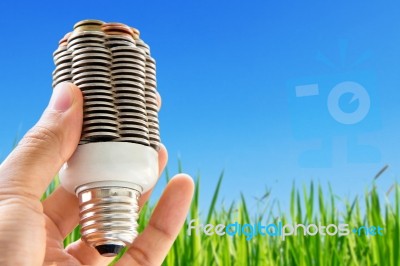 Eco Light Bulb Energy Concept Stock Photo