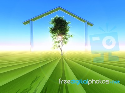Ecological Home Stock Image