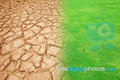 Ecology Landscape Stock Photo