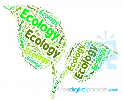 Ecology Word Indicating Earth Day And Protecting Stock Image