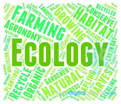 Ecology Word Means Earth Day And Environment Stock Image