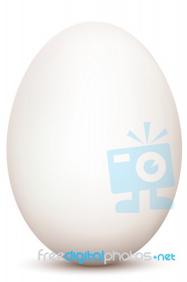 Egg Stock Image