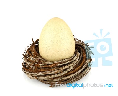 Egg In Nest Stock Image