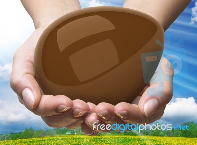 Egg In The Hands Stock Image