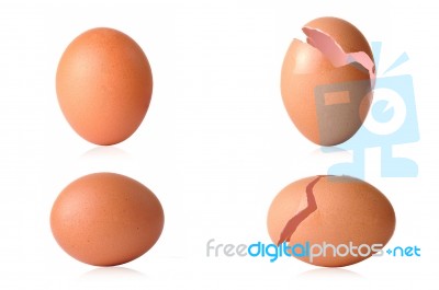 Egg Omega Plus Stock Photo