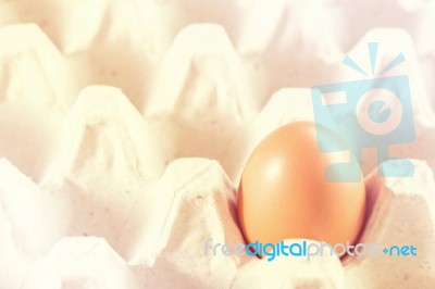 Egg On A Tray Stock Photo