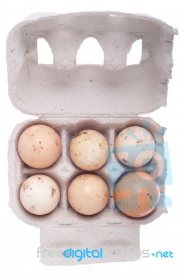Eggs In Carton Stock Photo