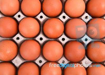 Eggs In Paper Tray Stock Photo