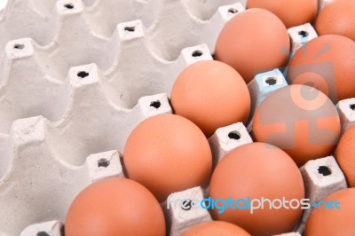 Eggs In Paper Tray Stock Photo