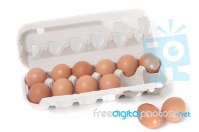 Eggs Inside Cardboard Package Stock Photo