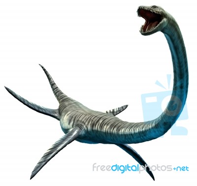 Elasmosaurus Stock Image