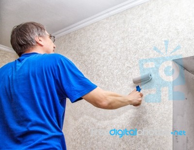 Elderly Man Smoothing The Wallpaper With A Roller Stock Photo