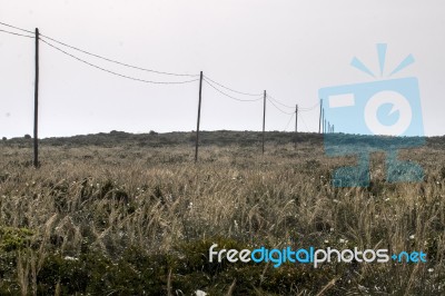 Electricity Wire On A Field Stock Photo