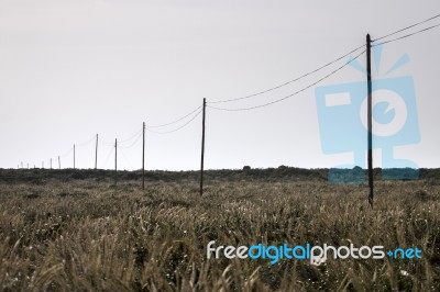 Electricity Wire On A Field Stock Photo