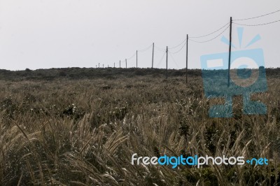 Electricity Wire On A Field Stock Photo