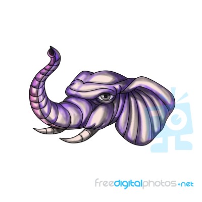 Elephant Head Trunk Tattoo Stock Image