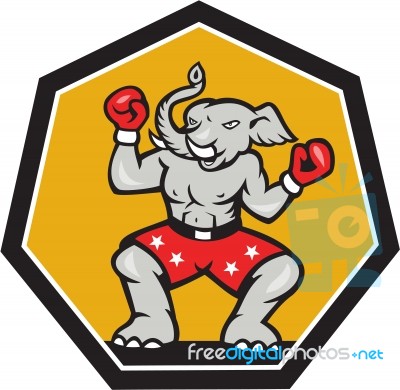 Elephant Mascot Boxer Cartoon Stock Image