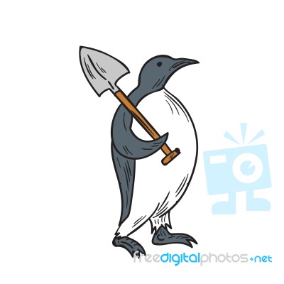 Emperor Penguin Holding Shovel Drawing Stock Image