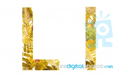 English Alphabet Made From Dry Leaves And Dry Grass On White Background For Isolated With Clipping Path Stock Photo
