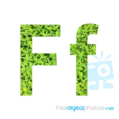 English Alphabet Made From Green Grass On White Background Stock Photo