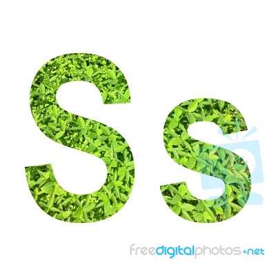 English Alphabet Made From Green Grass On White Background Stock Photo