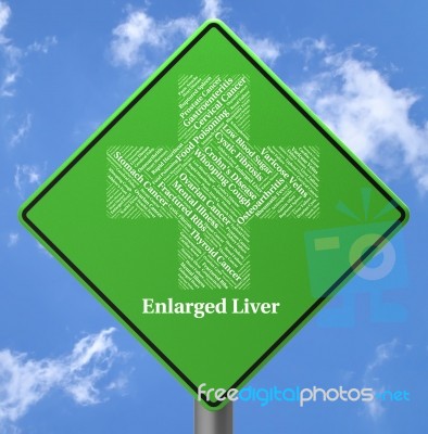 Enlarged Liver Represents Ill Health And Affliction Stock Image
