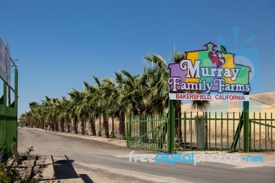 Entrance To Murray Family Farms In Bakersfield California Stock Photo