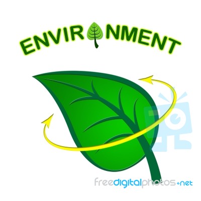 Environment Leaf Shows Earth Friendly And Conservation Stock Image