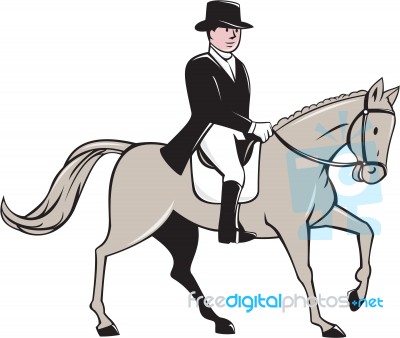 Equestrian Rider Dressage Cartoon Stock Image