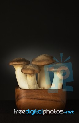 Eryngii Mushroom Stock Photo