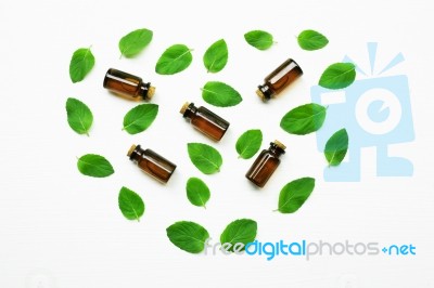 Essentail Oil With Fresh Mint Leaves Stock Photo