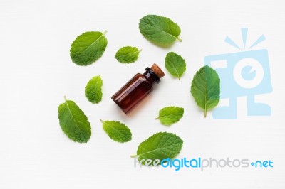 Essentail Oil With Fresh Mint Leaves Stock Photo