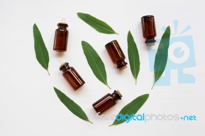 Eucalyptus Oil Bottle With  Leaves On White Background Stock Photo