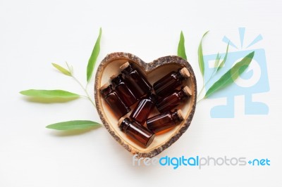 Eucalyptus Oil Bottle With  Leaves On White Background Stock Photo