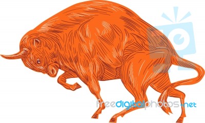 European Bison Charging Drawing Stock Image