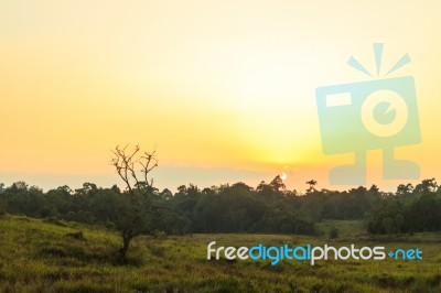 Evening At Khao Yai Stock Photo