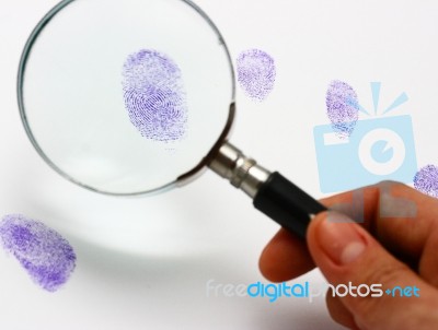 Examine A Fingerprint Stock Photo