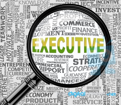 Executive Magnifier Indicates Managing Director 3d Rendering Stock Image
