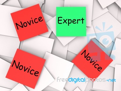 Expert Novice Post-it Notes Mean Professional Or Learner Stock Image
