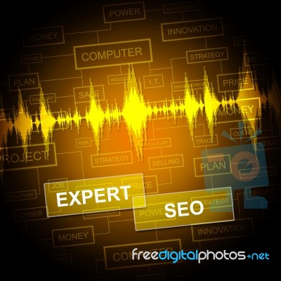 Expert Seo Indicates Search Engine And Sem Stock Image