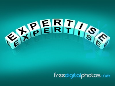 Expertise Blocks Mean Expert Skills Training And Proficiency Stock Image