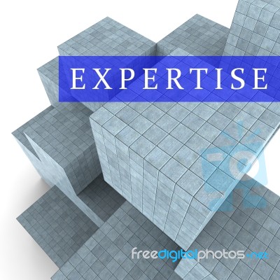 Expertise Blocks Represents Master Skills 3d Rendering Stock Image