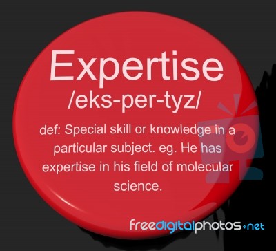 Expertise Definition Button Stock Image